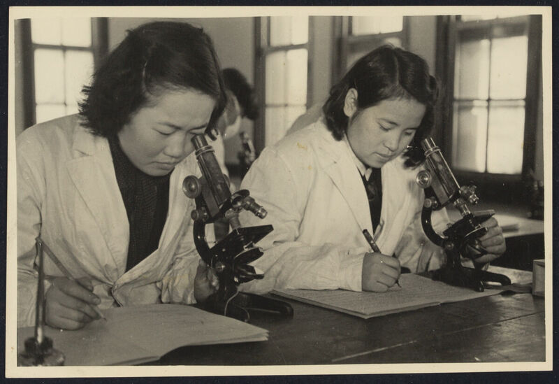 SIB_3423.jpg SIB_3423.jpg