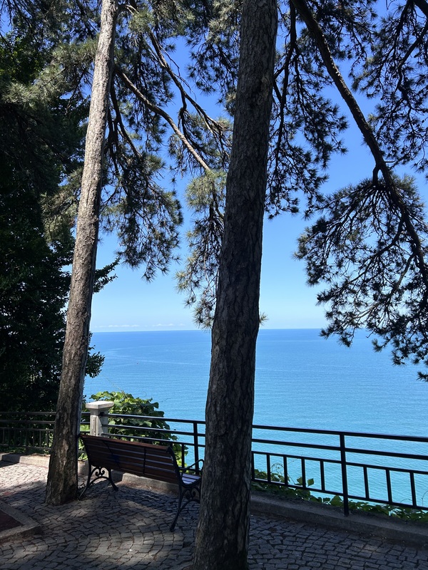 Gonzales-Poirier_botanical garden.jpeg