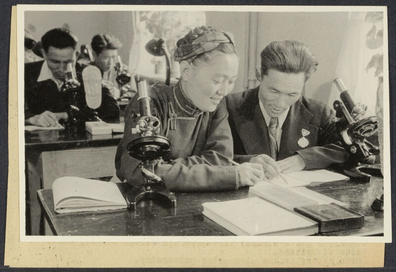 SIB_2928.jpg SIB_2928.jpg