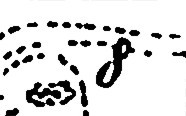 https://iiif.omeka.fas.harvard.edu/loris/atg-prod-oaas-files/imperiia/original/d2bda2a5442085e037c61cc7740d7cf1.jpg/3978,2588,186,116/full/0/default.jpg