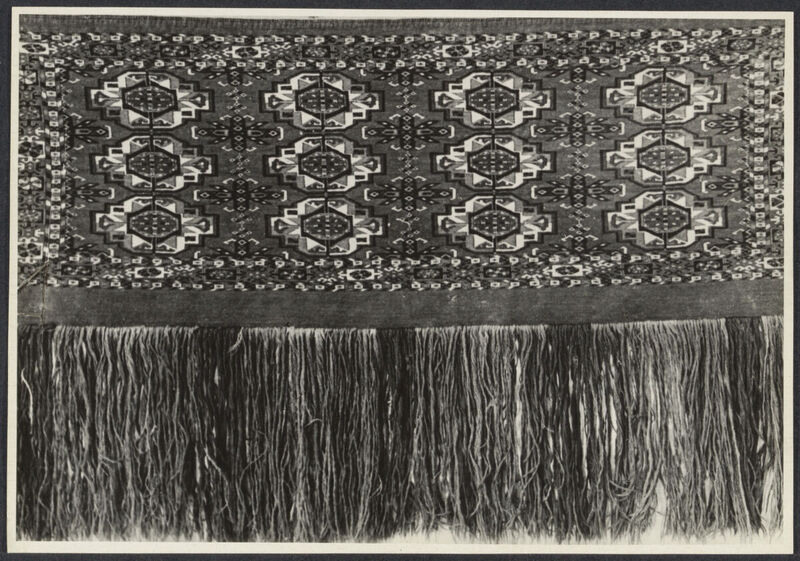 SIB_0703.jpg SIB_0703.jpg