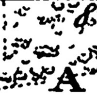 "A. Birch grove planted by Tsar Peter I" (Petrozavodsk)