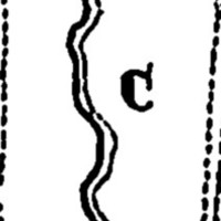 "C. Vineyards" (Chuguev)