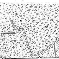 "18. Vineyards" (Kizliar)