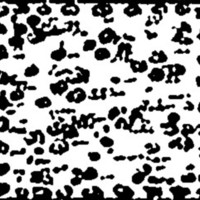 "unlabeled garden" (Buguruslan)