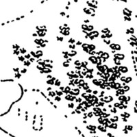 "unlabeled vegetation" (Vyborg)