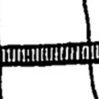 Annotation: "bridge over the Pokhra River"