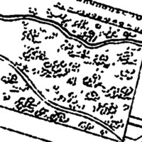 "Unlabeled garden" (Kerch)