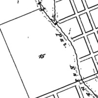 "15. For planting local trees" (Saratov)