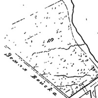 "19. Fruit trees and other orchards" (Rostov)