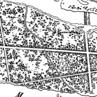 "unlabeled vegetation" (St. Petersburg)