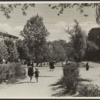 Looking down Shevchenko Boulevard