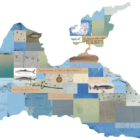 Incremental Sea Water Mosaic