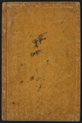 https://ids.lib.harvard.edu/ids/iiif/48493698/full/full/0/default.jpg