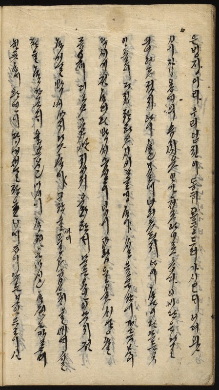 https://ids.lib.harvard.edu/ids/iiif/9029825/full/512,/0/default.jpg