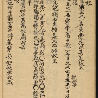https://ids.lib.harvard.edu/ids/iiif/10518619/full/full/0/default.jpg