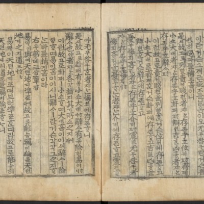 https://ids.lib.harvard.edu/ids/iiif/48493812/full/,512/0/default.jpg