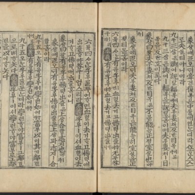 https://ids.lib.harvard.edu/ids/iiif/48493632/full/,512/0/default.jpg