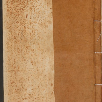 https://ids.lib.harvard.edu/ids/iiif/14155515/full/full/0/default.jpg