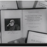 rena wang item 4.png