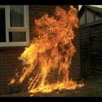 molotov coctail contact. jpg.jpg