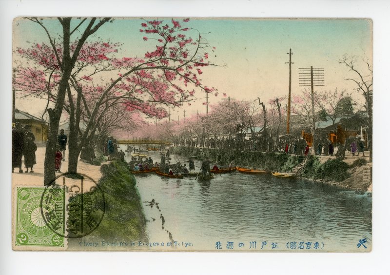https://tokyovisualdatabase.s3.amazonaws.com/Cherry Blossom's in ___001.jpg