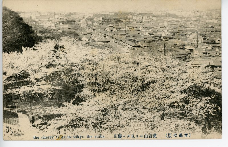 https://s3.amazonaws.com/tokyovisualdatabase/Shiba.2.001.jpg