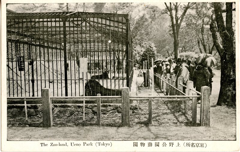 https://s3.amazonaws.com/tokyovisualdatabase/P.Ueno.Uenozoo.3.001.jpg