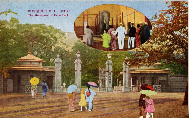https://s3.amazonaws.com/tokyovisualdatabase/P.Ueno.Uenozoo.1.001.jpg