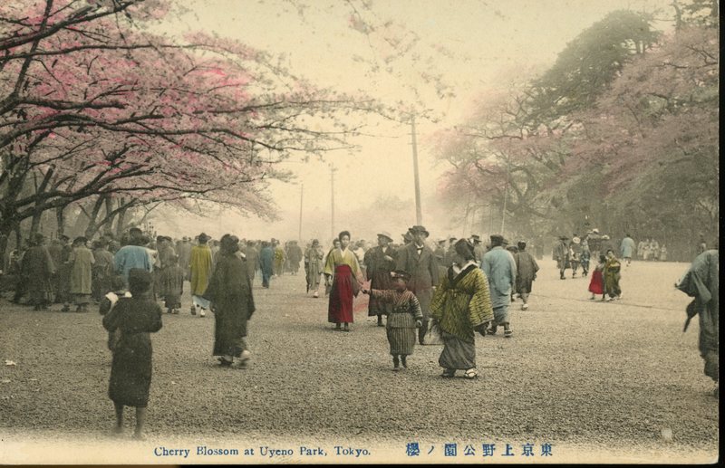 https://s3.amazonaws.com/tokyovisualdatabase/P.Ueno.CherryBlossoms.2.001.jpg