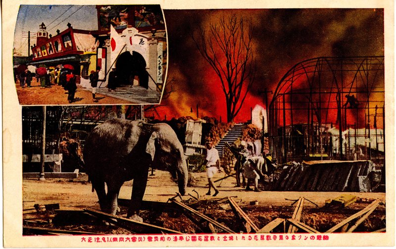 https://s3.amazonaws.com/tokyovisualdatabase/P.Ueno.Uenozoo.4.001.jpg