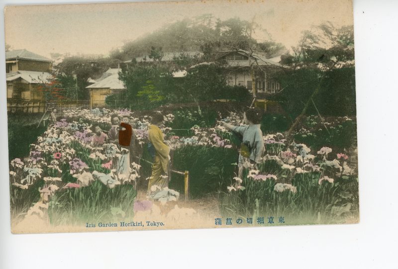 https://s3.amazonaws.com/tokyovisualdatabase/Horikiri.3.10.1.003.jpg