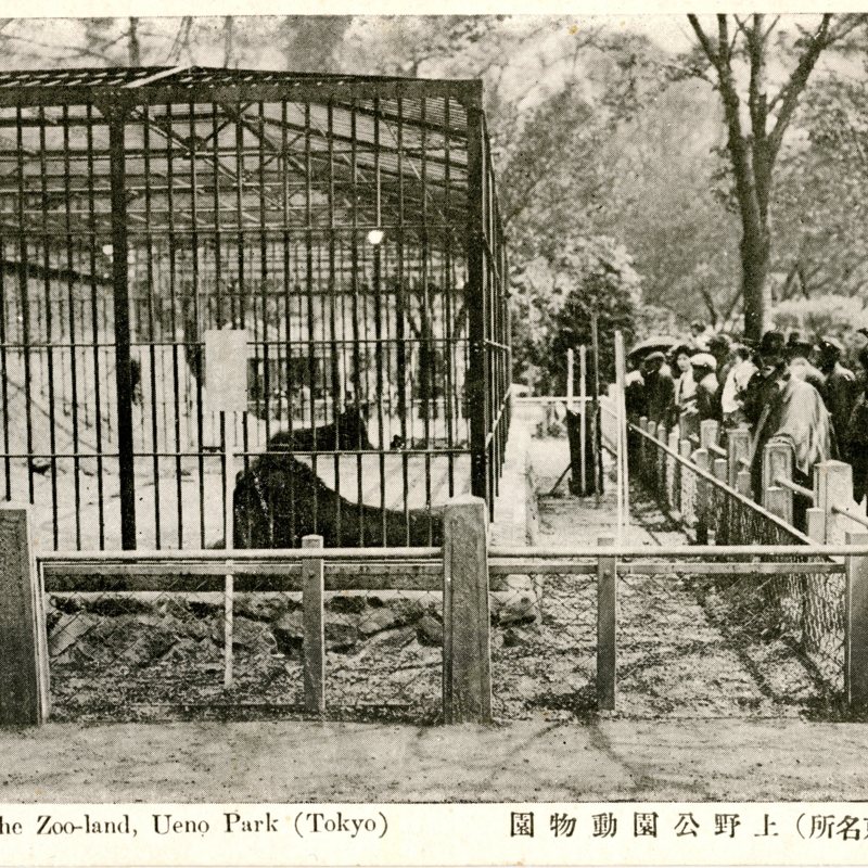 https://s3.amazonaws.com/tokyovisualdatabase/P.Ueno.Uenozoo.3.001.jpg