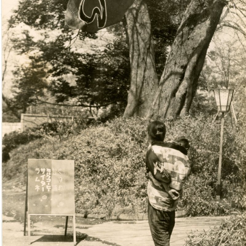 https://s3.amazonaws.com/tokyovisualdatabase/P.Ueno.UenoPark.6.001.jpg
