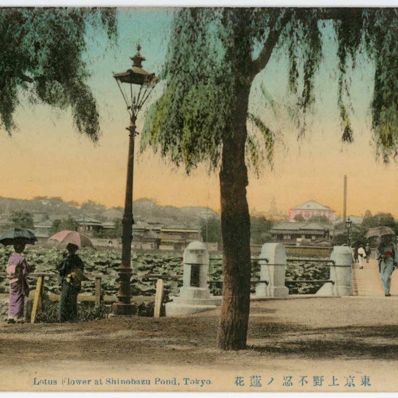 https://s3.amazonaws.com/tokyovisualdatabase/Shinobazu Pond.Tokyo.1001.jpg