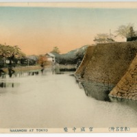 (Tokyo meisho) kyūjō nakahori