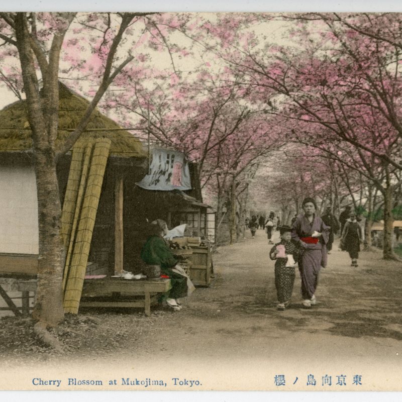 https://s3.amazonaws.com/tokyovisualdatabase/Mukojima.9.001.jpg