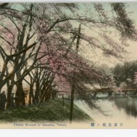 https://s3.amazonaws.com/tokyovisualdatabase/Asakusa.12.001.jpg