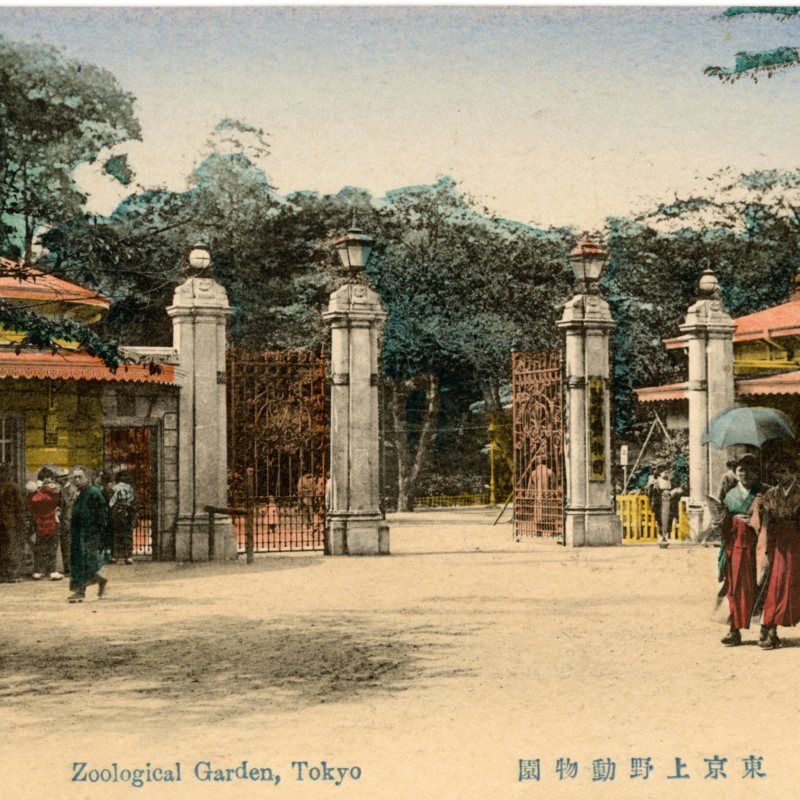 https://s3.amazonaws.com/tokyovisualdatabase/P.Ueno.Uenozoo.2.001.jpg