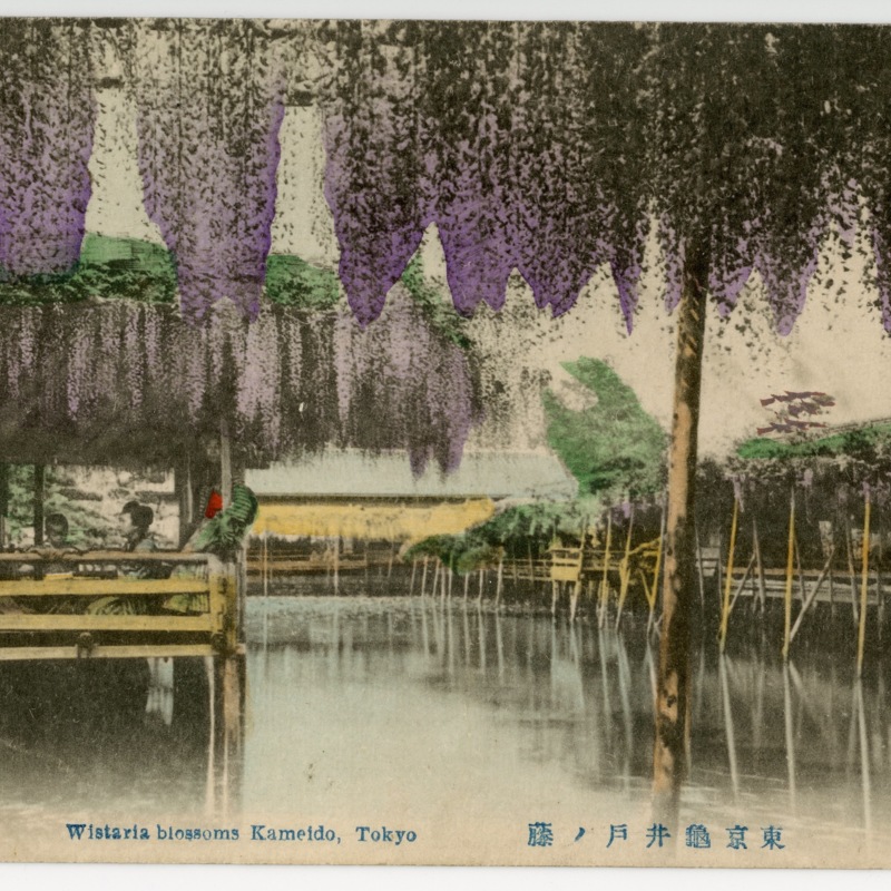 https://s3.amazonaws.com/tokyovisualdatabase/Kameido.1.001.jpg