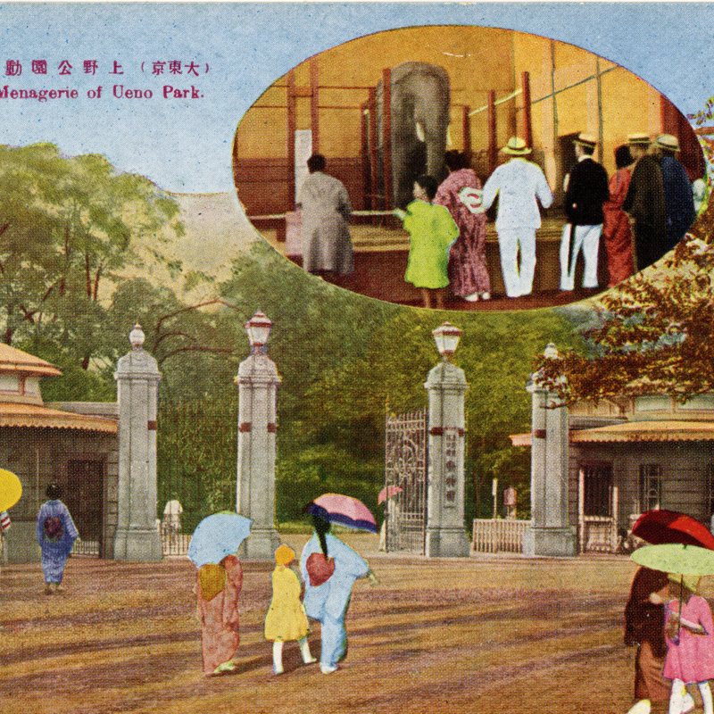 https://s3.amazonaws.com/tokyovisualdatabase/P.Ueno.Uenozoo.1.001.jpg