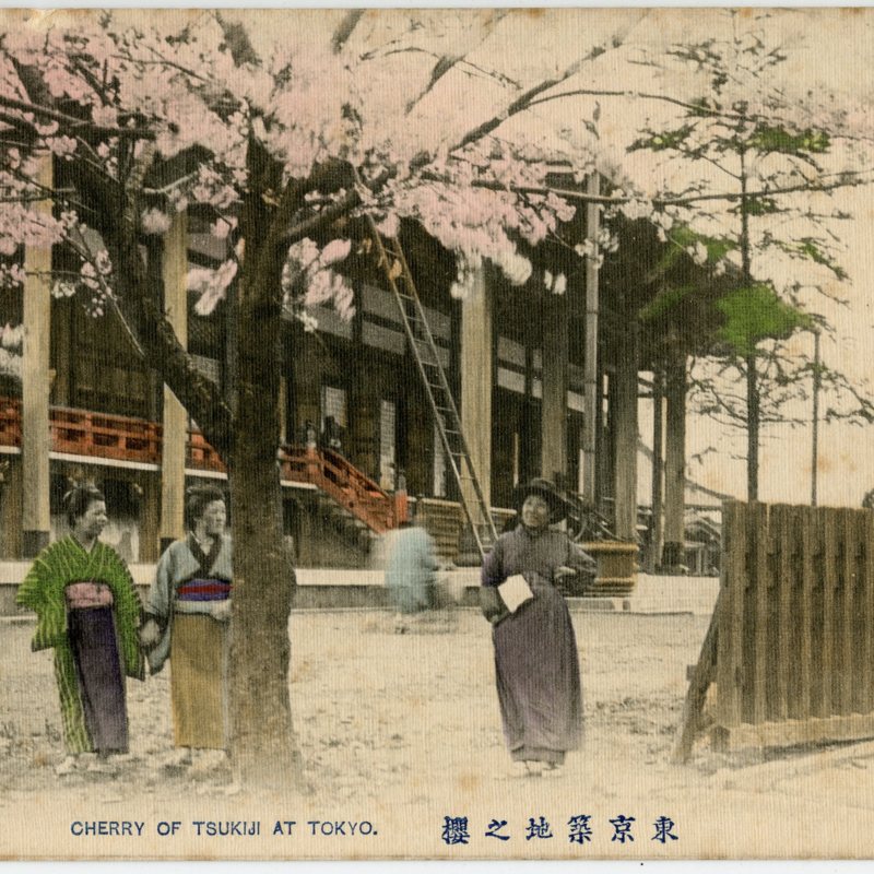 https://s3.amazonaws.com/tokyovisualdatabase/Tsukiji.7.001.jpg