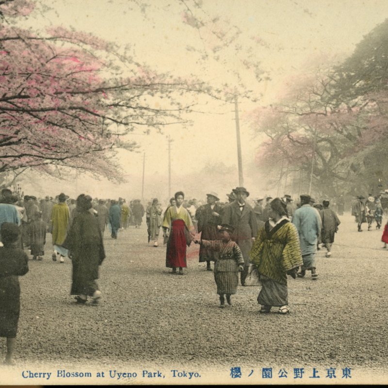https://s3.amazonaws.com/tokyovisualdatabase/P.Ueno.CherryBlossoms.2.001.jpg