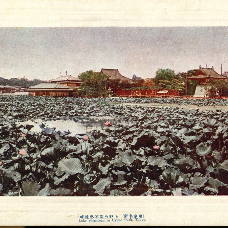 https://s3.amazonaws.com/tokyovisualdatabase/P.Ueno.Shinobazu.1.001.jpg