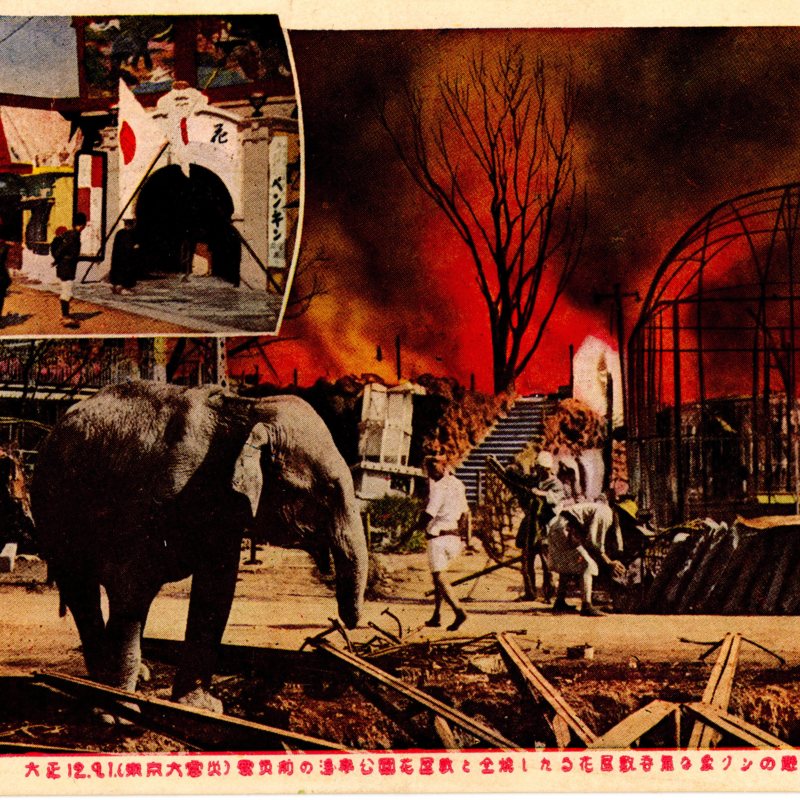 https://s3.amazonaws.com/tokyovisualdatabase/P.Ueno.Uenozoo.4.001.jpg