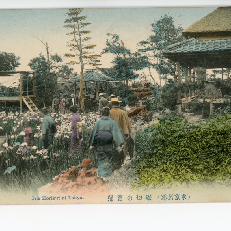 (Tokyo meishō) Horikiri no shōbu