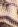 https://iiif.omeka.fas.harvard.edu/oaas-files/visualtokyo/original/80e885a22738359a67a25e8e953bace0.jpg/1212,357,18,27/full/0/default.jpg