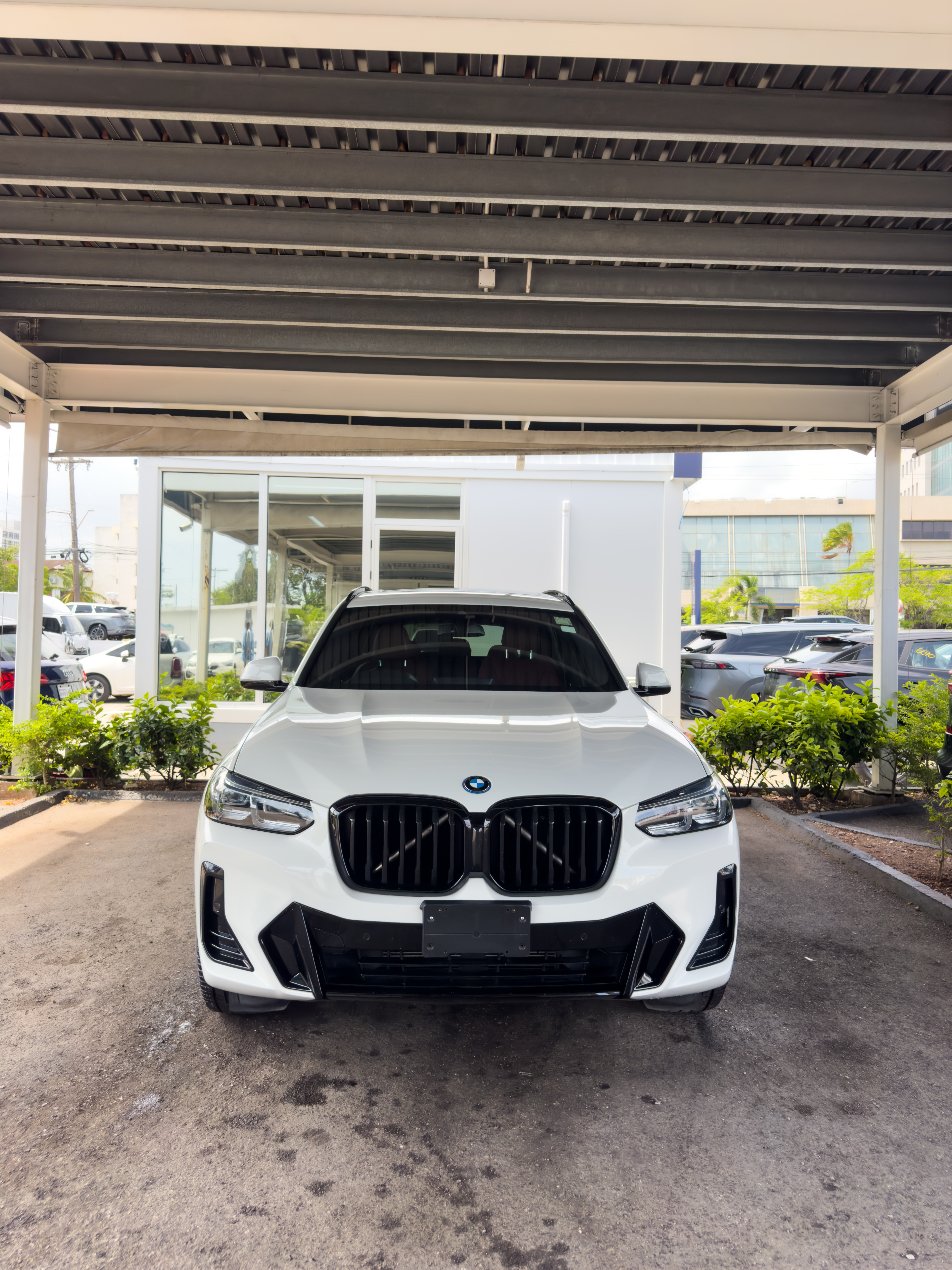 2024 BMW X3