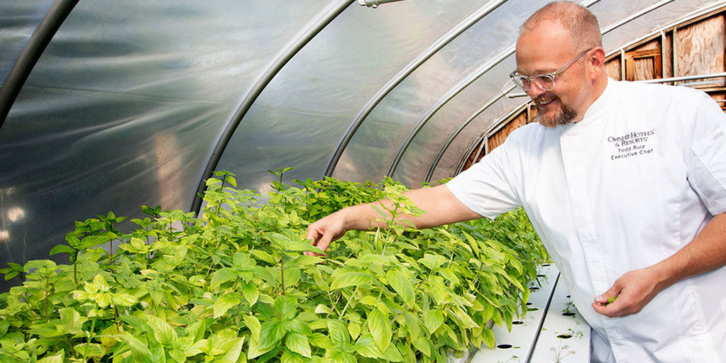 July Sprouting Project Dinner Basil Buy Tickets Ticketbud