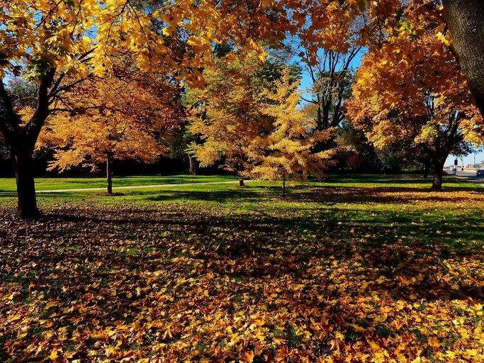 2019 Pleasant Ridge Home and Garden Tour Buy Tickets in Pleasant